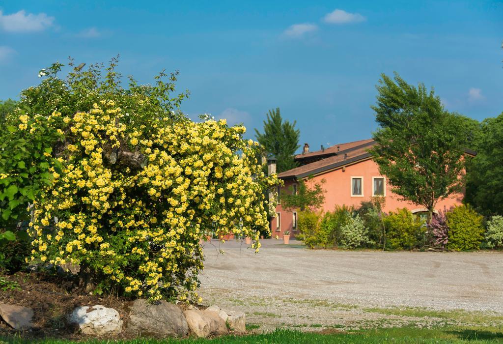 Agriturismo Corte Morandini Valeggio sul Mincio Extérieur photo