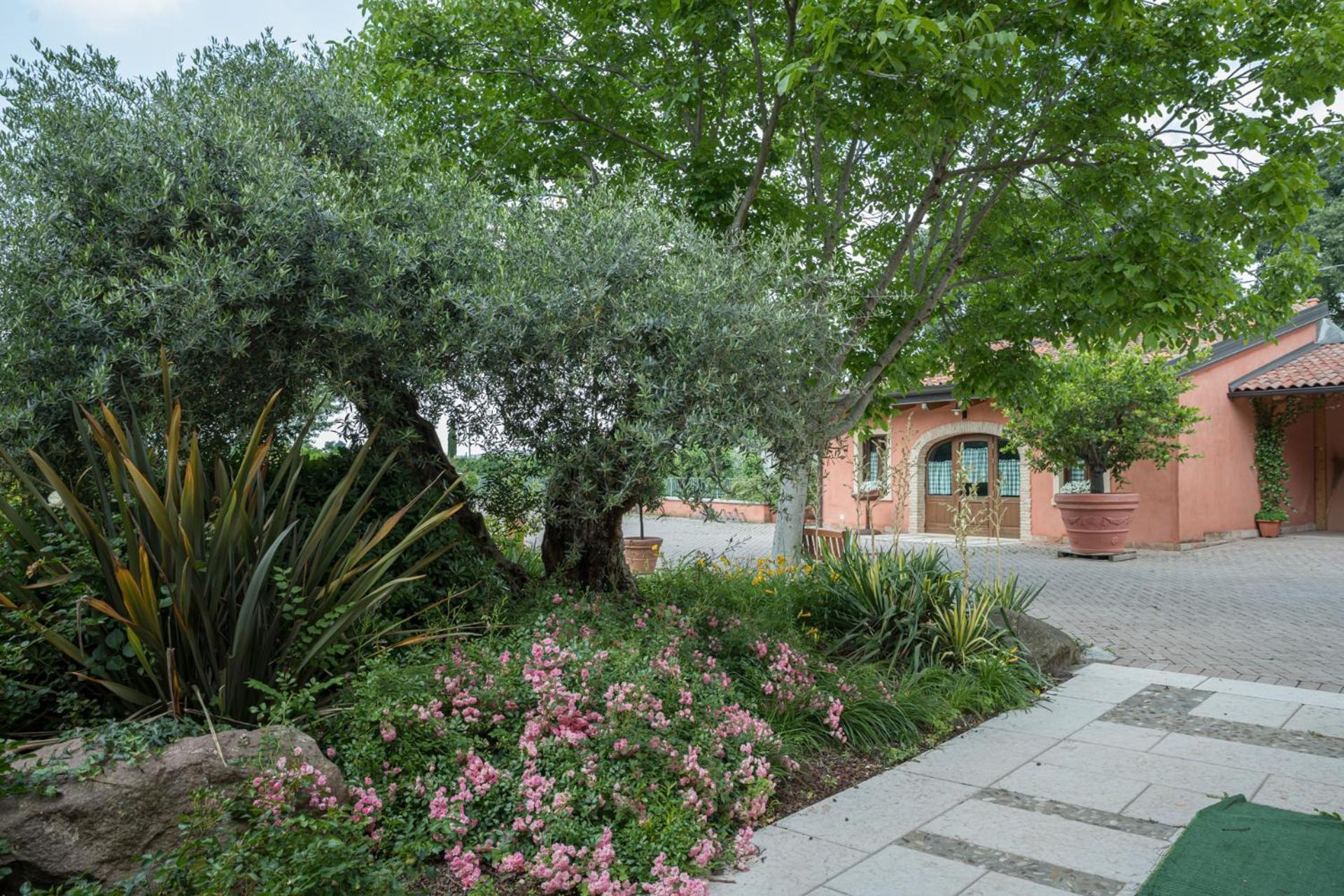 Agriturismo Corte Morandini Valeggio sul Mincio Extérieur photo